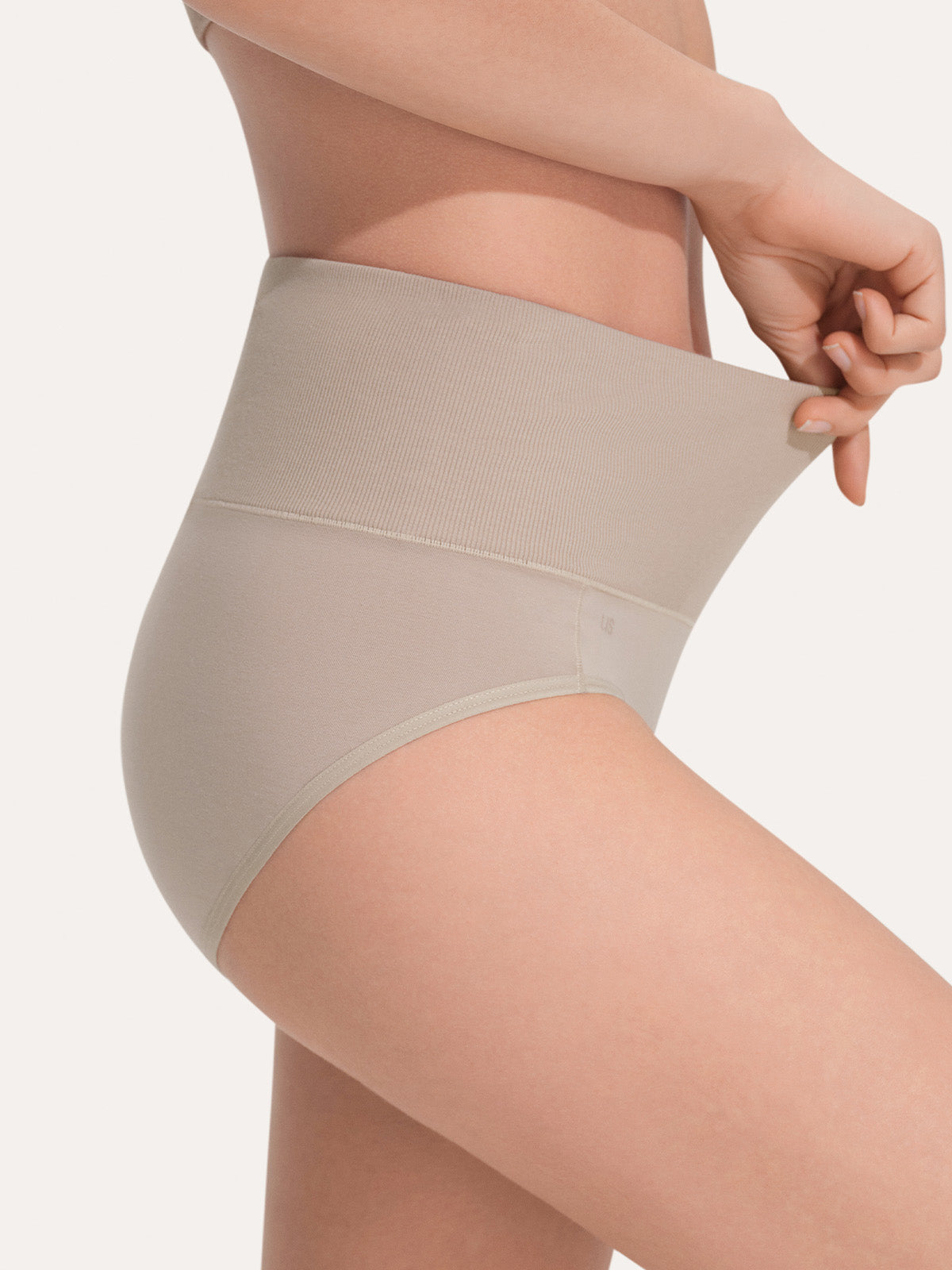 Pure Cotton Wide Elastic Band High-Waisted Brief (2-Pack)