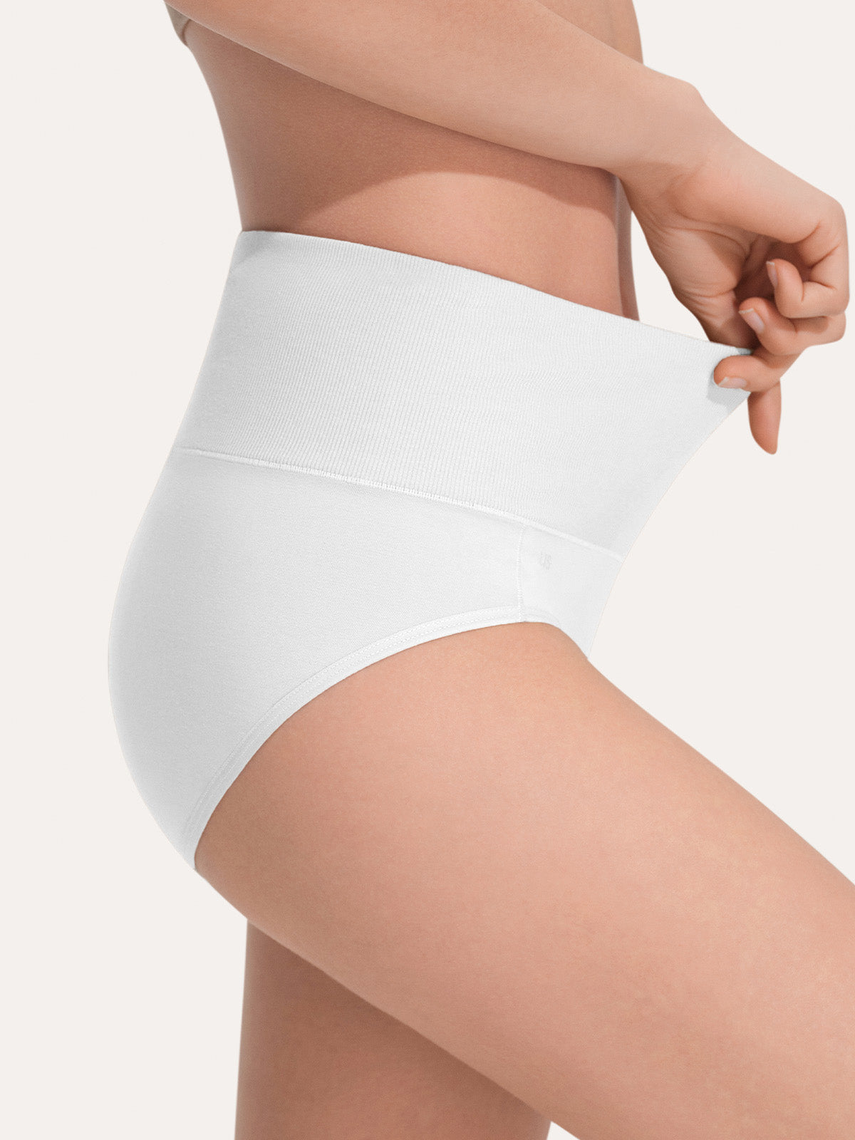 Pure Cotton Wide Elastic Band High-Waisted Brief (2-Pack)