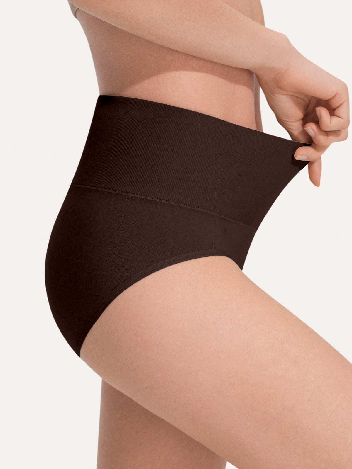 Pure Cotton Wide Elastic Band High-Waisted Brief (2-Pack)